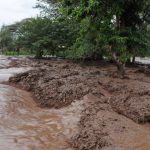 The Rains Have Come to Northern Kenya