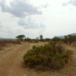 Why Locals Might Not Notice a Tourist Being Shot in Northern Kenya