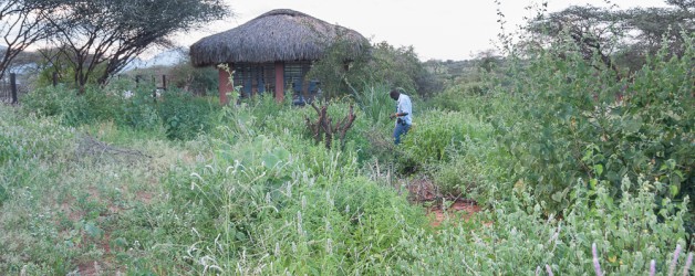 Conservation area around the dinning hall