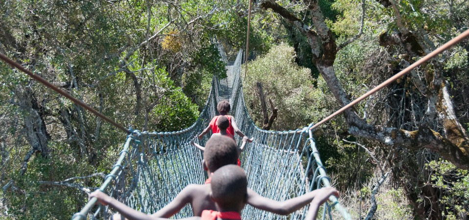 Ngare Ndare Forest Canopy Walkway