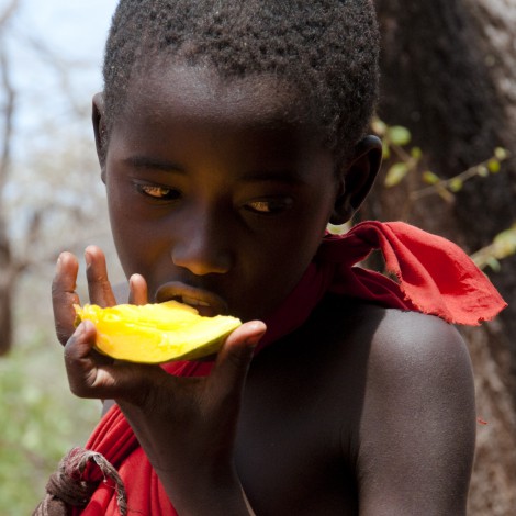 Mangoes are Pretty Good Too!