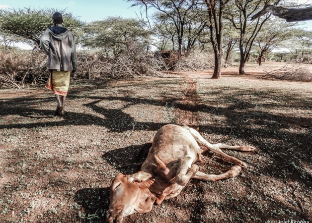 Hard times in Northern Kenya; the long and the short of it.