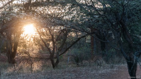 Sunrise at Olng’arua School