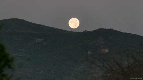 Full Moon Setting Over Il’Ngwesi