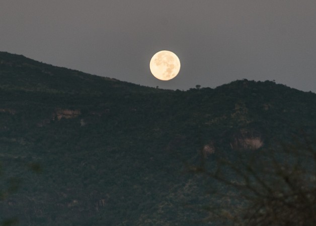 Full Moon Setting Over Il’Ngwesi