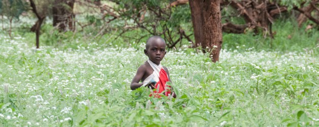 A strange, green, new world