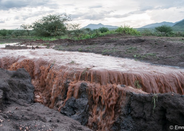 The tragedy of rain on degraded rangelands