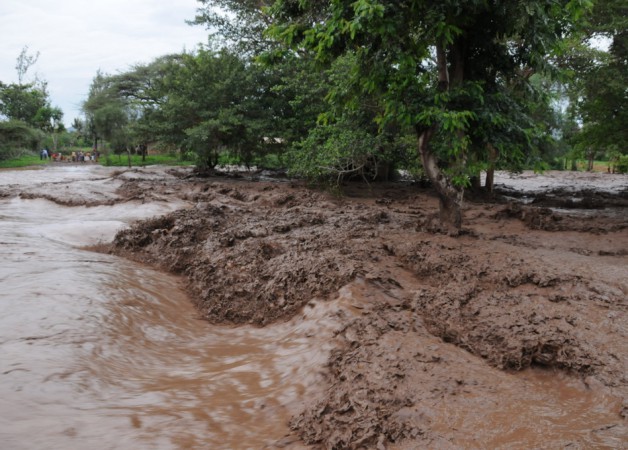 The Rains Have Come to Northern Kenya